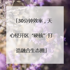 30分钟效率，天心经开区“硬核”打造融合生态圈