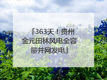 363天！贵州金元田林风电全容量并网发电