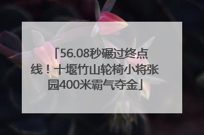 56.08秒碾过终点线！十堰竹山轮椅小将张园400米霸气夺金