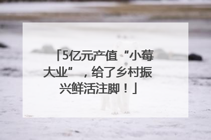 5亿元产值“小莓大业”，给了乡村振兴鲜活注脚！