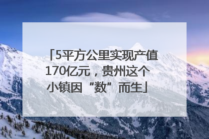 5平方公里实现产值170亿元，贵州这个小镇因“数”而生