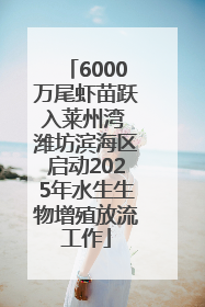 6000万尾虾苗跃入莱州湾 潍坊滨海区启动2025年水生生物增殖放流工作