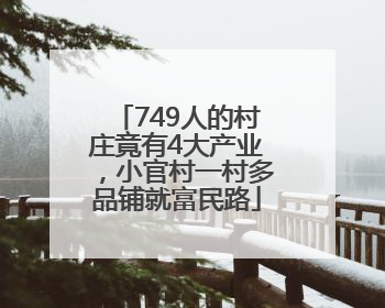 749人的村庄竟有4大产业，小官村一村多品铺就富民路