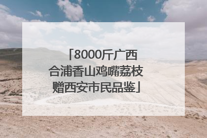 8000斤广西合浦香山鸡嘴荔枝赠西安市民品鉴