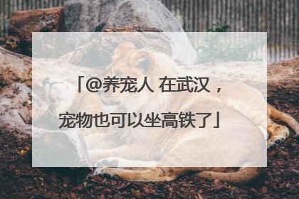 @养宠人 在武汉，宠物也可以坐高铁了