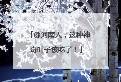 @河南人，这种神奇叶子该吃了！