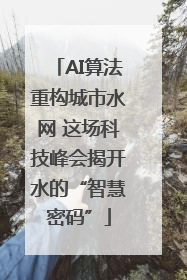 AI算法重构城市水网 这场科技峰会揭开水的“智慧密码”