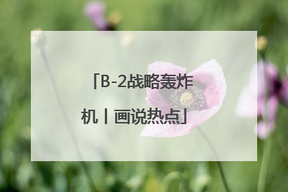 B-2战略轰炸机丨画说热点